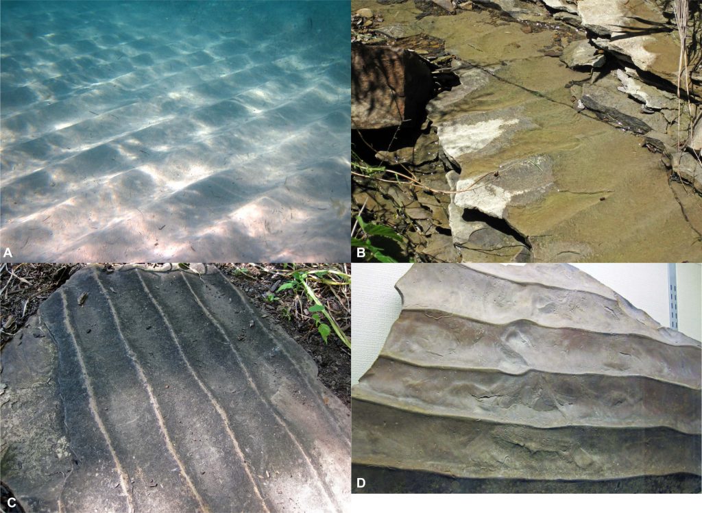 Chapter Sedimentary Structures The Story Of Earth An