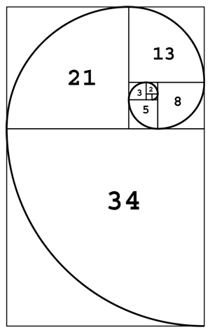 Fibonacci spiral