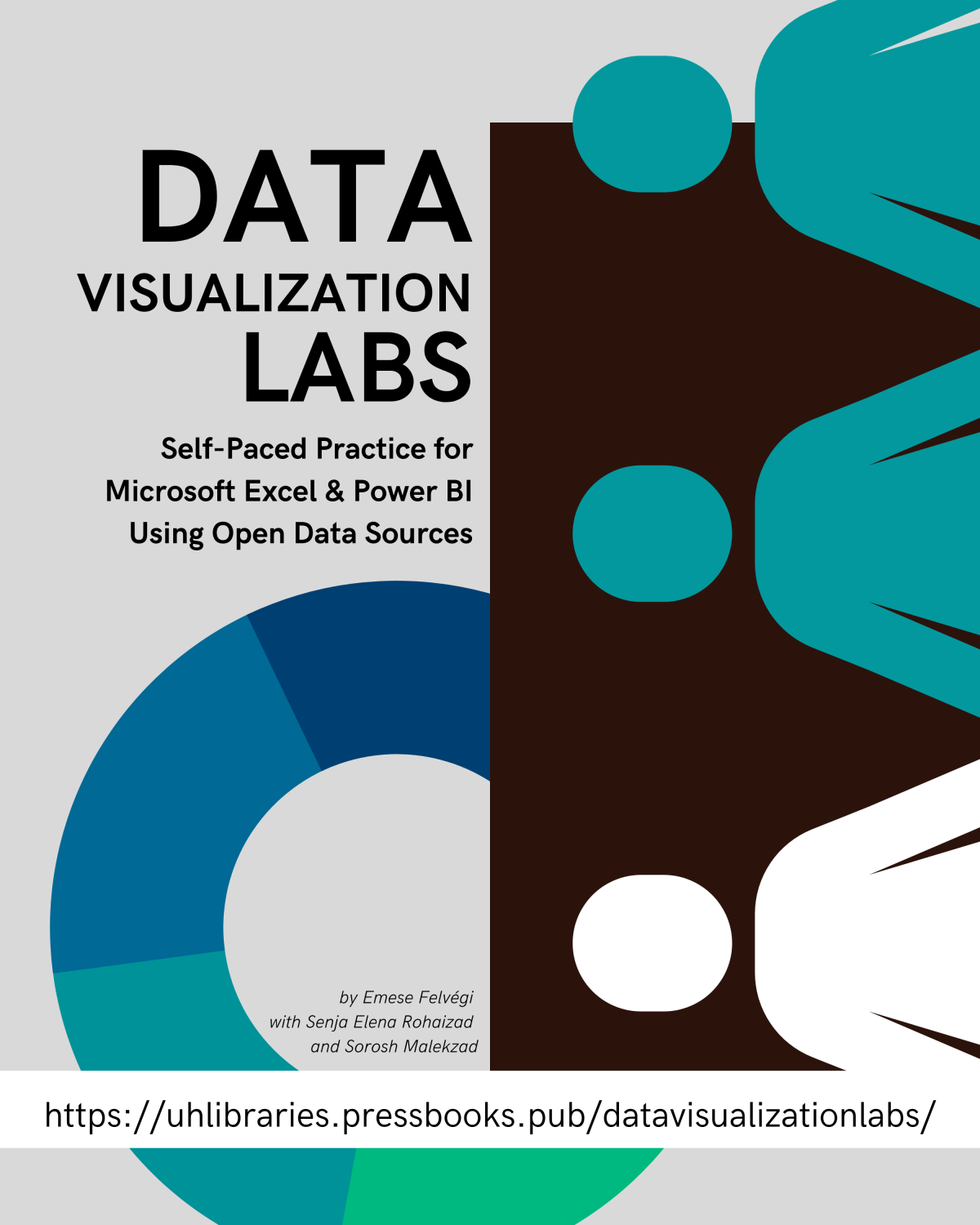 Cover image for Data Visualization Labs