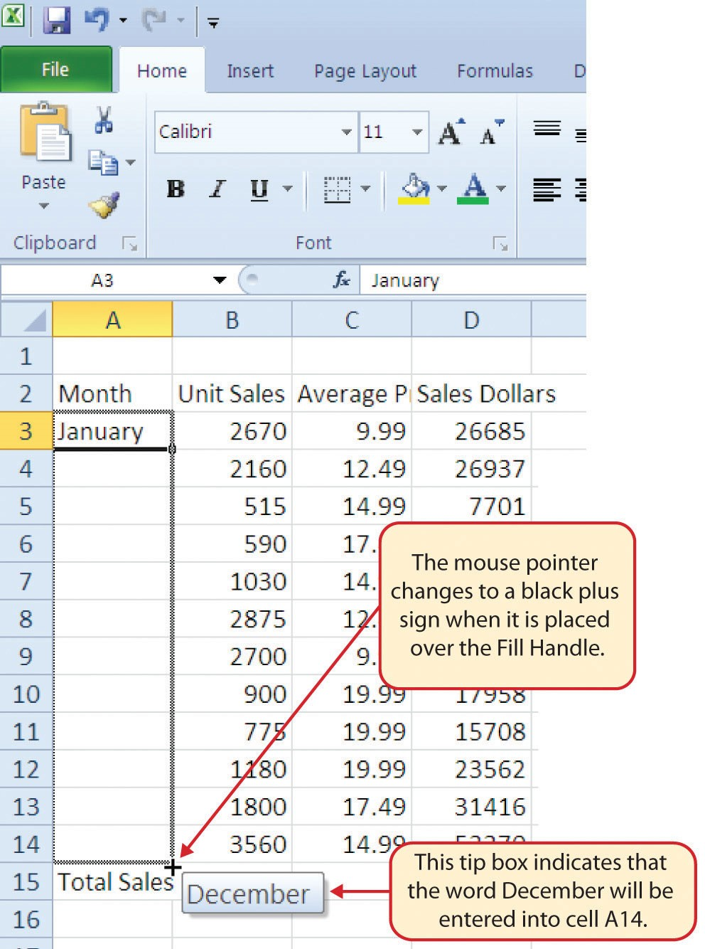 Cells A3 through A14 highlighted using Fill Handle (black plus sign). "December" in tip box indicates that word will be entered into cell A14.