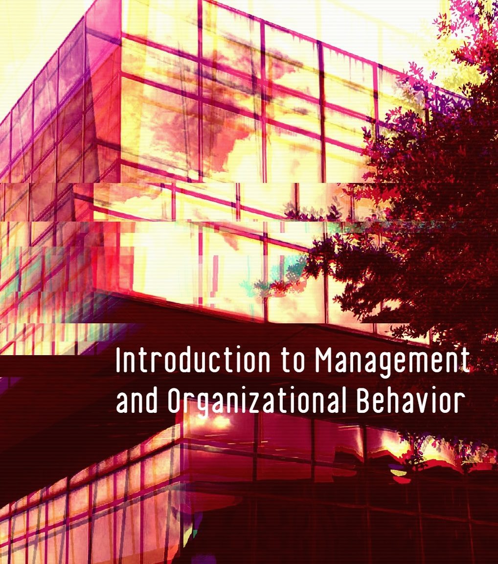 Cover image for Introduction to Management and Organizational Behavior
