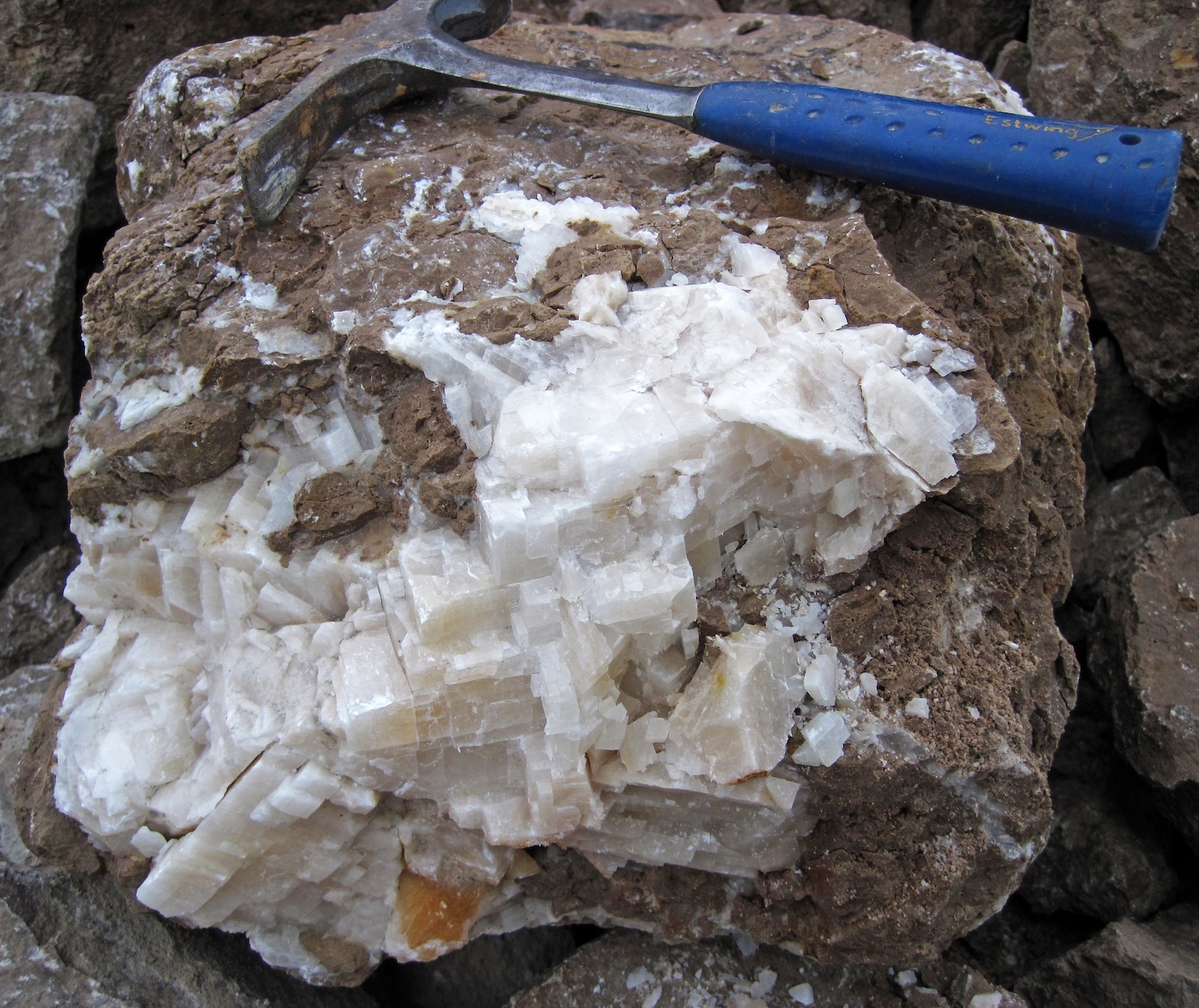 A brownish colored rock with white crystals.