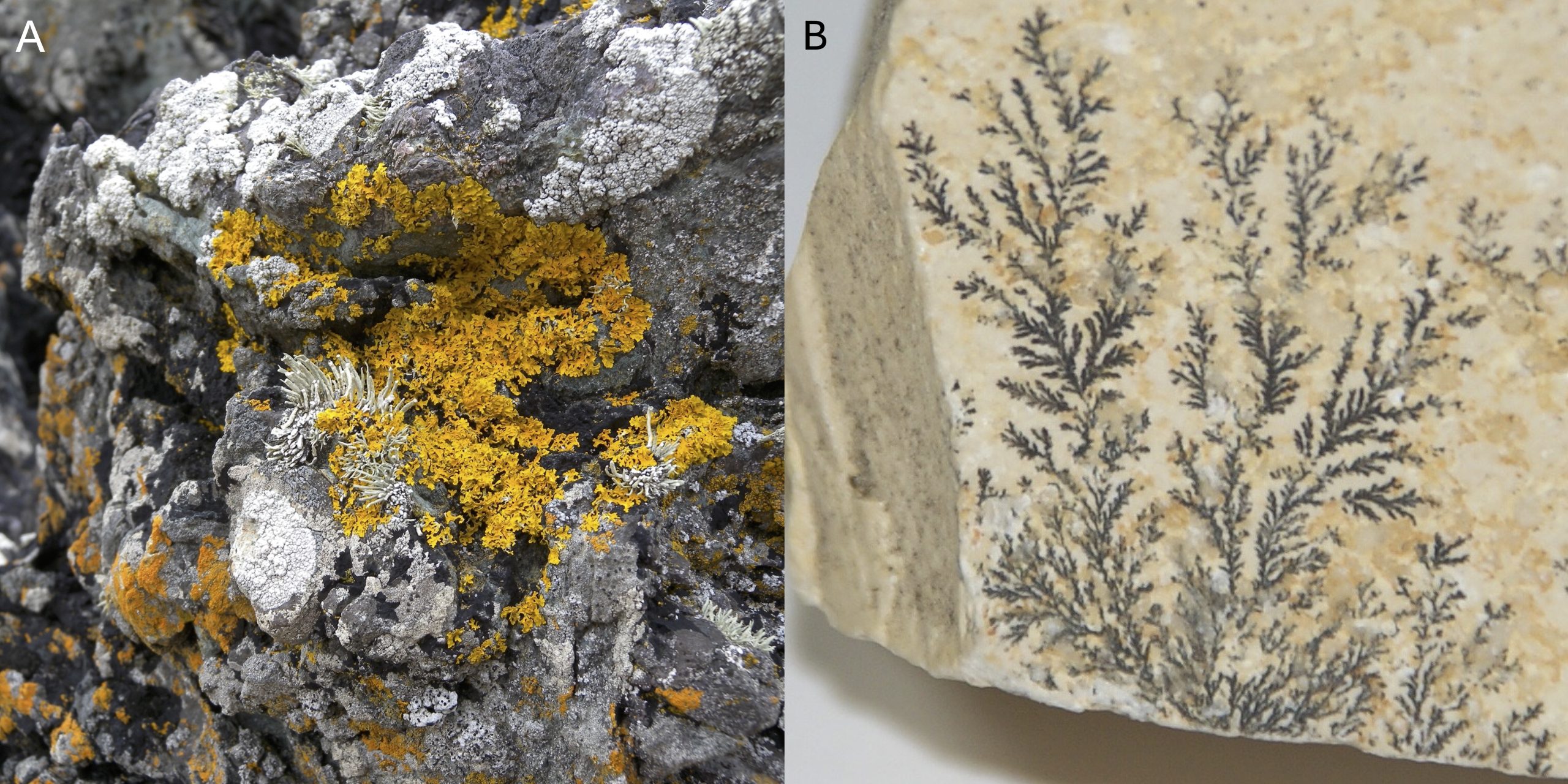 Surficial features on rocks