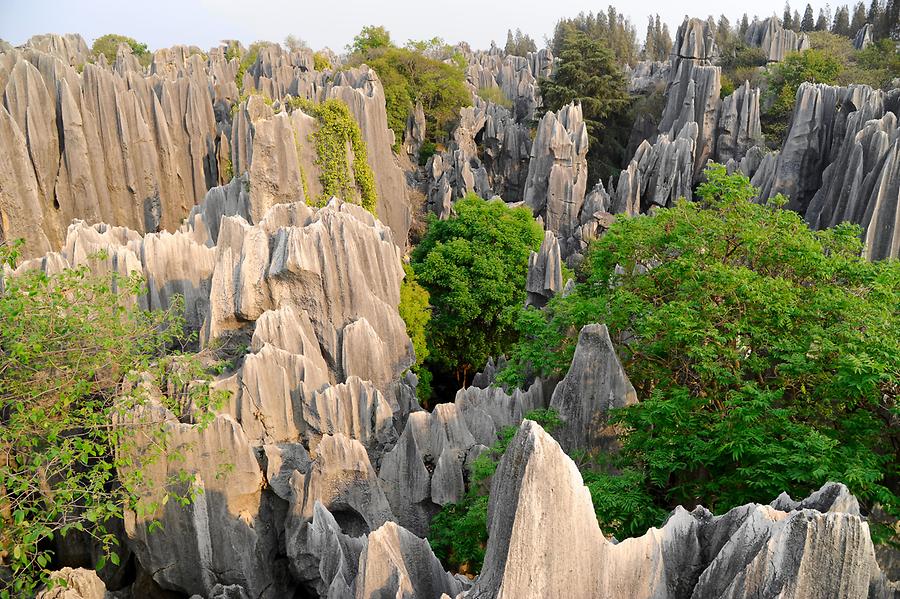 https://global-geography.org/af/Geography/Asia/China/Pictures/Kunming_Jianshui/Shilin_-_Stone_Forest_28 Limestone Weathering