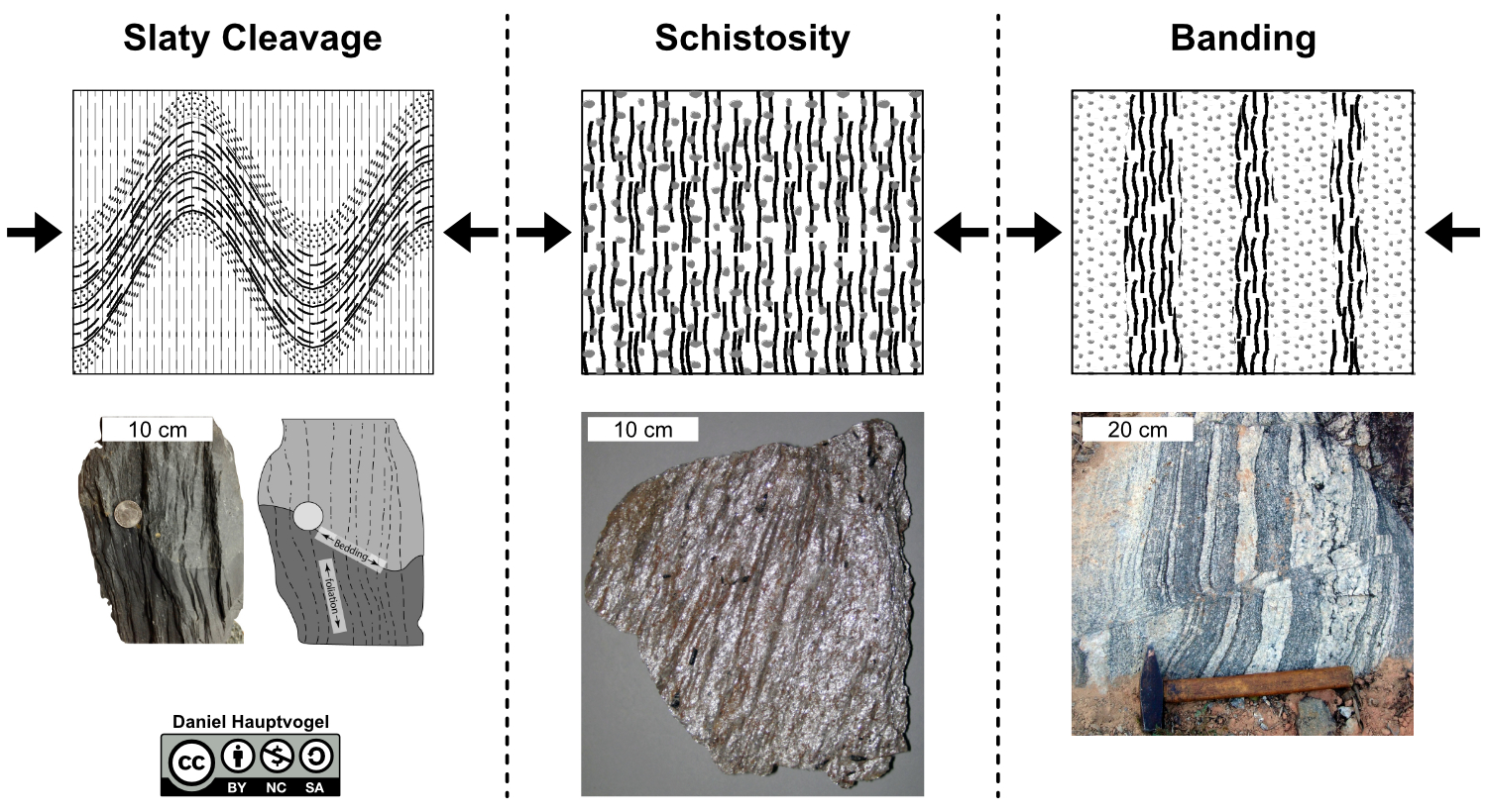 Images and diagrams of foliation.