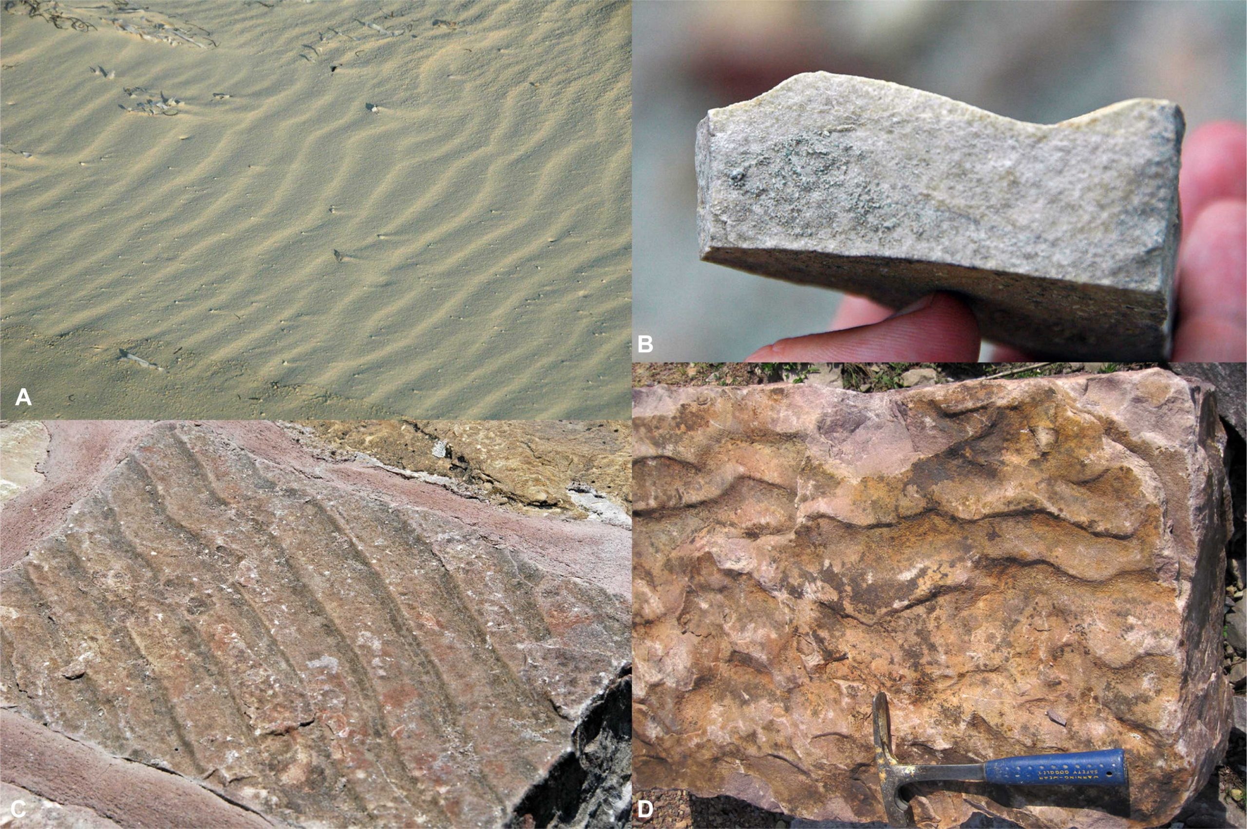 Rock definition sedimentary Limestone: Rock