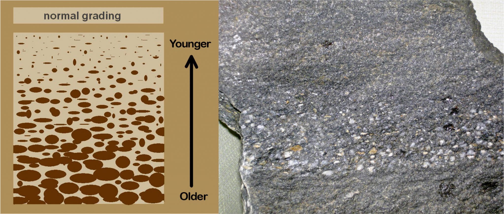 Chapter 4 Sedimentary Structures The Story of Earth An