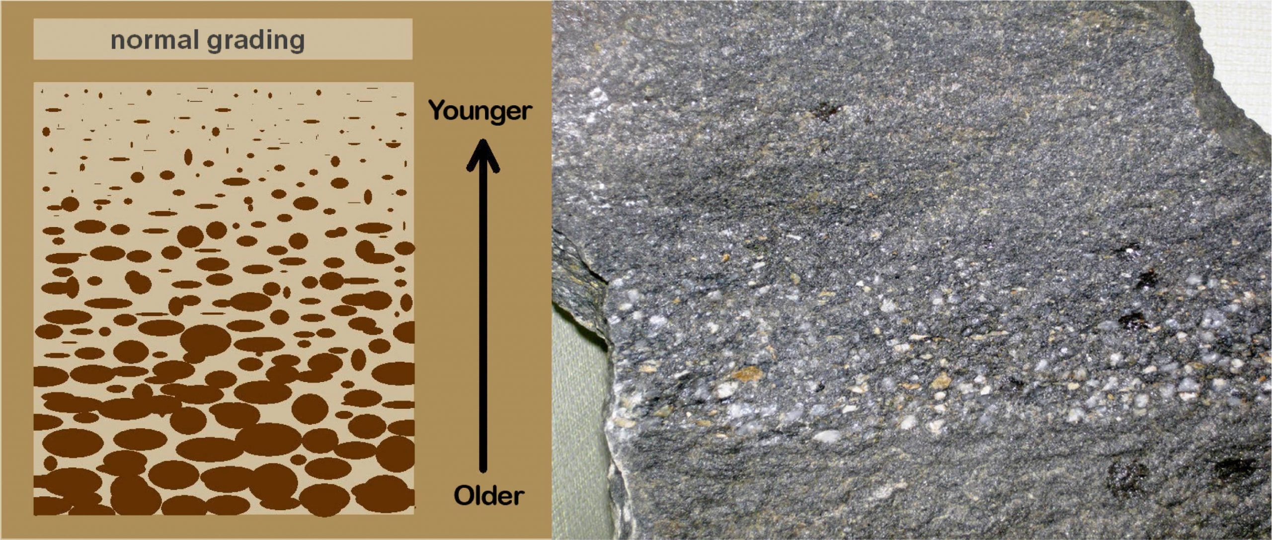 Chapter 4 Sedimentary Structures The Story Of Earth