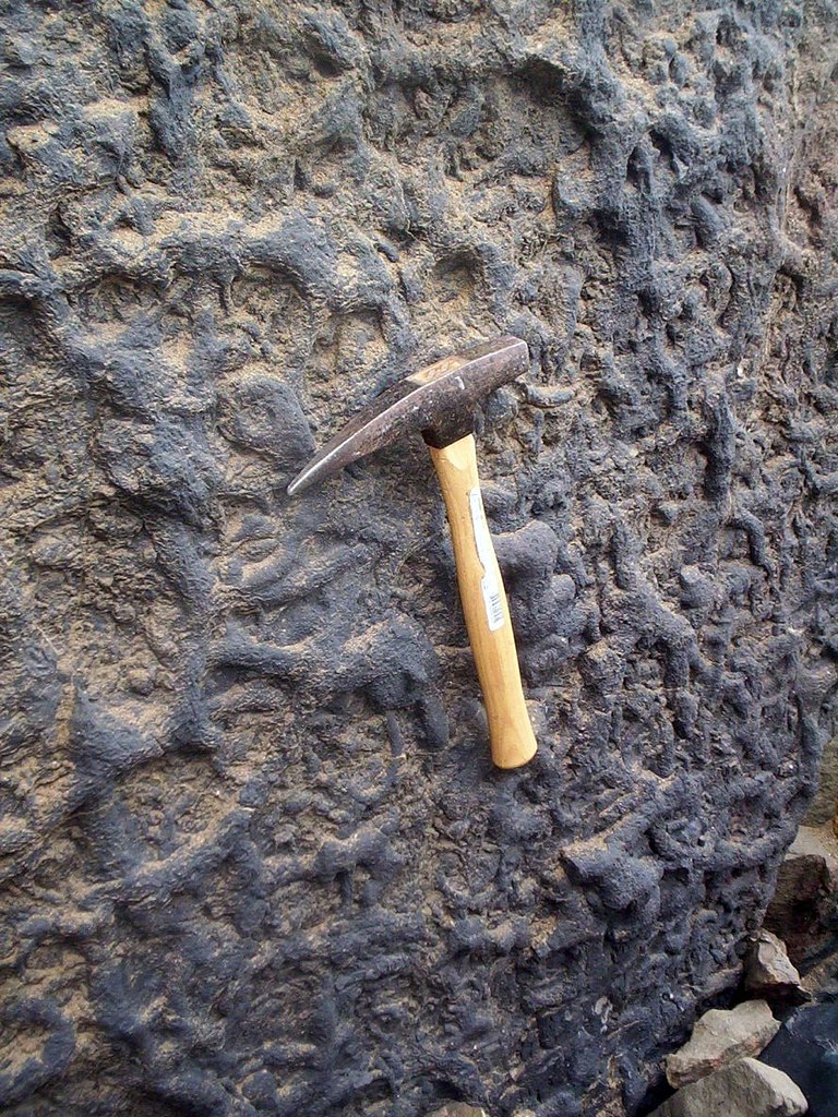 This rock has criss-crossing burrows that represent the Glossifungites ichnofacies.
