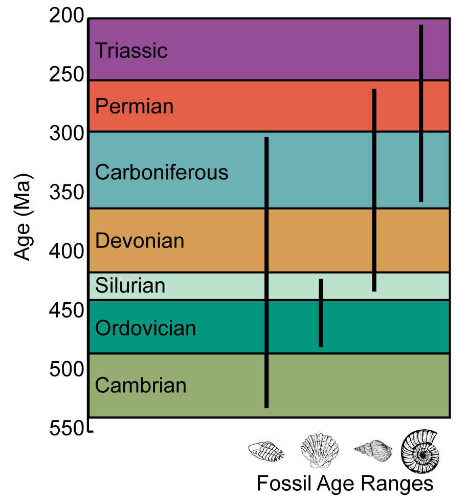 geologic time scale horizontal