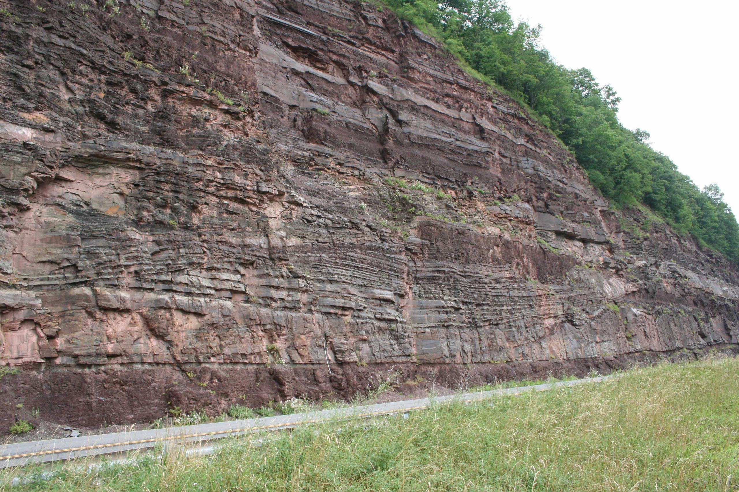 Point bar deposits in the Hampshire Formation near North Bend, Pennsylvania