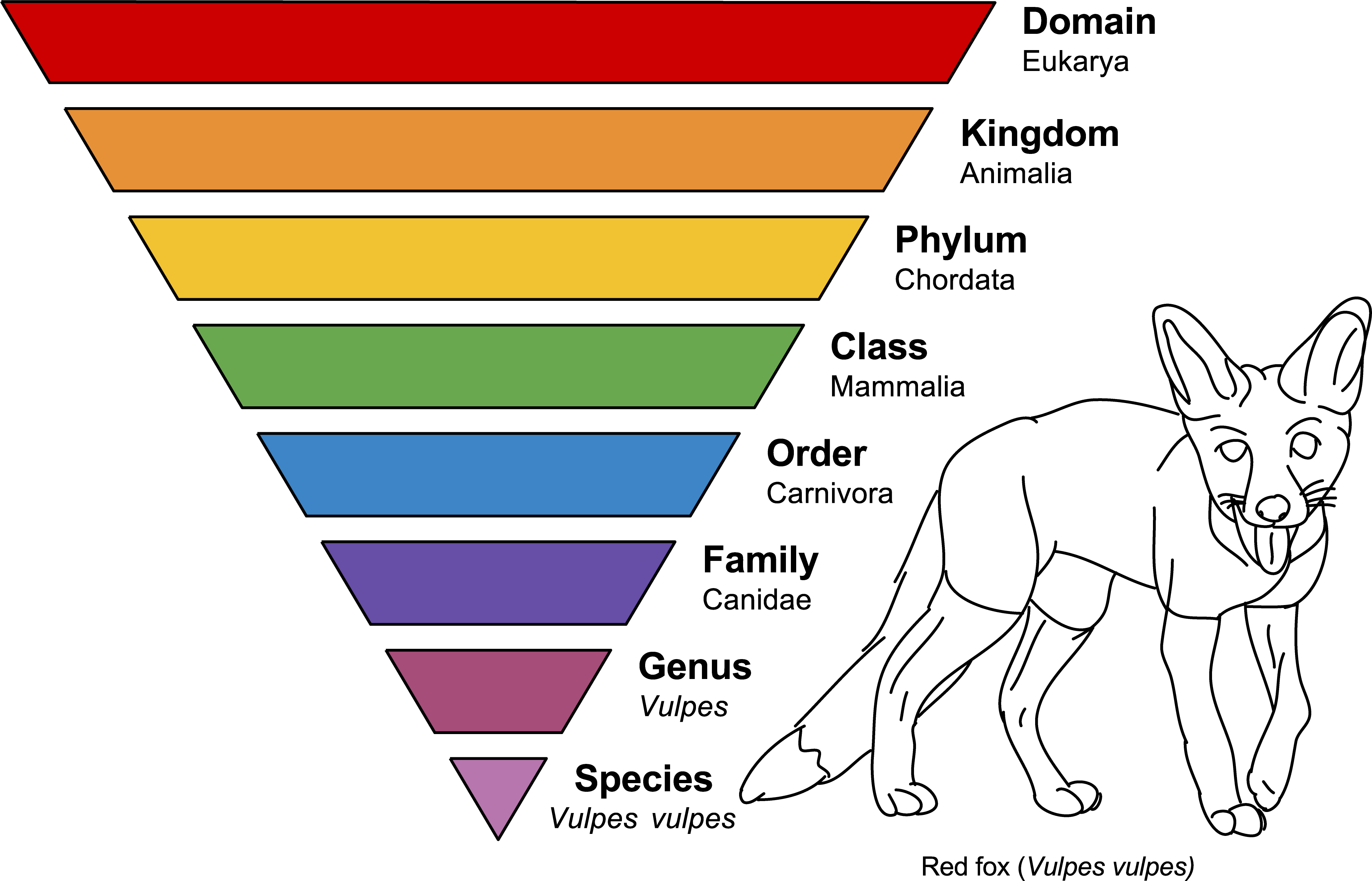 Chapter 7: Fossils – The Story Of Earth: An Observational Guide 2e