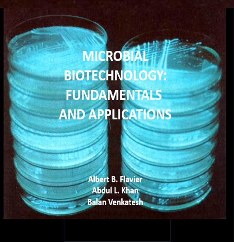 Cover image for Microbial Biotechnology: Fundamentals and Applications