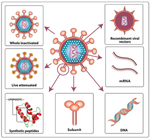 The figure illustrates various vaccine strategies, depicted as arrows pointing from a central virus particle to different vaccine types. These include from top left and going counterclockwise, whole inactivated, live attenuated, synthetic peptides, subunit, DNA, mRNA and recombinant viral vectors.