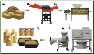 A comprehensive industrial substrate preparation workflow showing five key stages of mushroom substrate processing. Image A shows large-scale substrate storage with massive piles of straw, sawdust, and other lignocellulosic materials stored in covered warehouses or outdoor areas with proper drainage and ventilation. Image B displays industrial substrate milling equipment with large hammer mills or choppers reducing the raw biomass into uniform 1-2 inch pieces, with material flowing through conveyor systems and dust collection units visible. Image C features a large ribbon mixer machine with rotating paddles thoroughly blending the chopped substrate with nutritional supplements like wheat bran, gypsum, and lime, ensuring homogeneous distribution of nutrients and pH buffers throughout the mixture. Image D shows automated bagging and bottling machinery with conveyor belts feeding the prepared substrate into various containers - polypropylene autoclave bags, glass bottles, and cultivation trays - with precise weighing and filling mechanisms ensuring consistent substrate volumes. Image E presents the final packed products arranged systematically: sealed bags of substrate stacked on pallets, rows of filled bottles capped with microporous filters, and cultivation trays filled with substrate ready for sterilization. The workflow demonstrates the transition from raw agricultural waste to precisely prepared, standardized growing media ready for mushroom cultivation, emphasizing the industrial scale and automation possible in commercial mushroom substrate preparation.