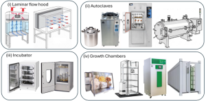 A comprehensive laboratory equipment layout showing essential mycology tools and machinery. The image is divided into four main sections. Top left shows a vertical laminar flow hood with its stainless steel construction, HEPA filter system visible at the top, and clear viewing panel protecting the sterile work area where petri dishes and laboratory tools are arranged. Top right displays a large industrial autoclave with its heavy-duty door, pressure gauges, and control panel, designed for sterilizing substrates and equipment at high temperature and pressure. Bottom left features a temperature-controlled incubator with transparent doors showing multiple shelves containing petri dishes and culture vessels, along with digital temperature and humidity controls. Bottom right shows a sophisticated growth chamber with multiple compartments, LED lighting systems, humidity control units, CO2 monitoring equipment, and automated environmental control panels. Additional smaller equipment is scattered throughout including pH meters, scales, thermometers, timer devices, and various sterile laboratory tools. The layout demonstrates the progression from sterile culture work through sterilization to controlled incubation and finally to optimized fruiting conditions, representing the complete workflow of professional mushroom cultivation and mycological research.