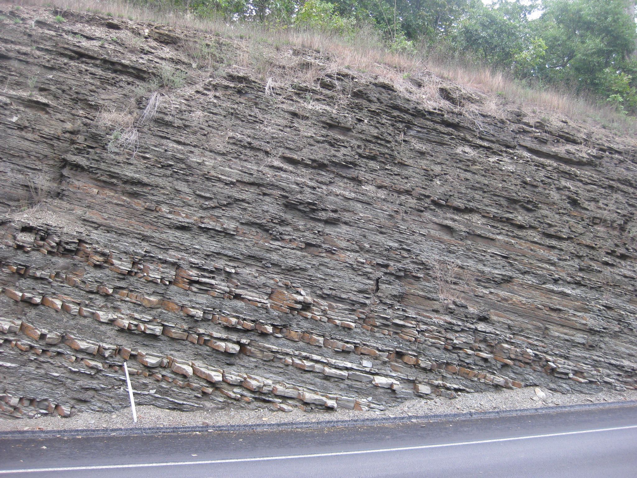 Outcrop of Devonian Brallier Formation on the north side of the Pennsylvania Turnpike, Pennsylvania