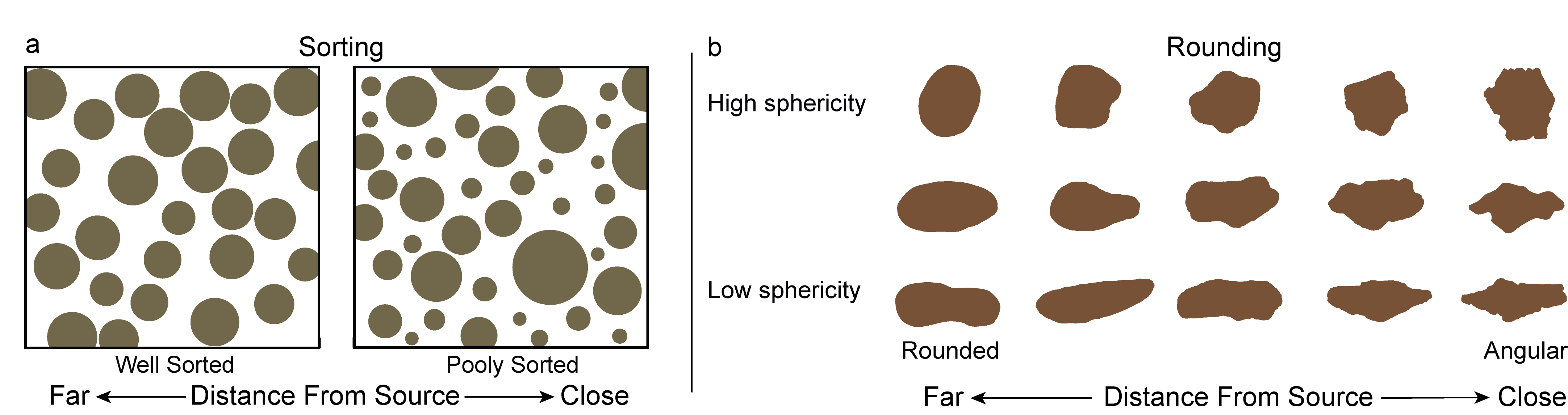 Characterizing the sorting and roundness of sediment grains.