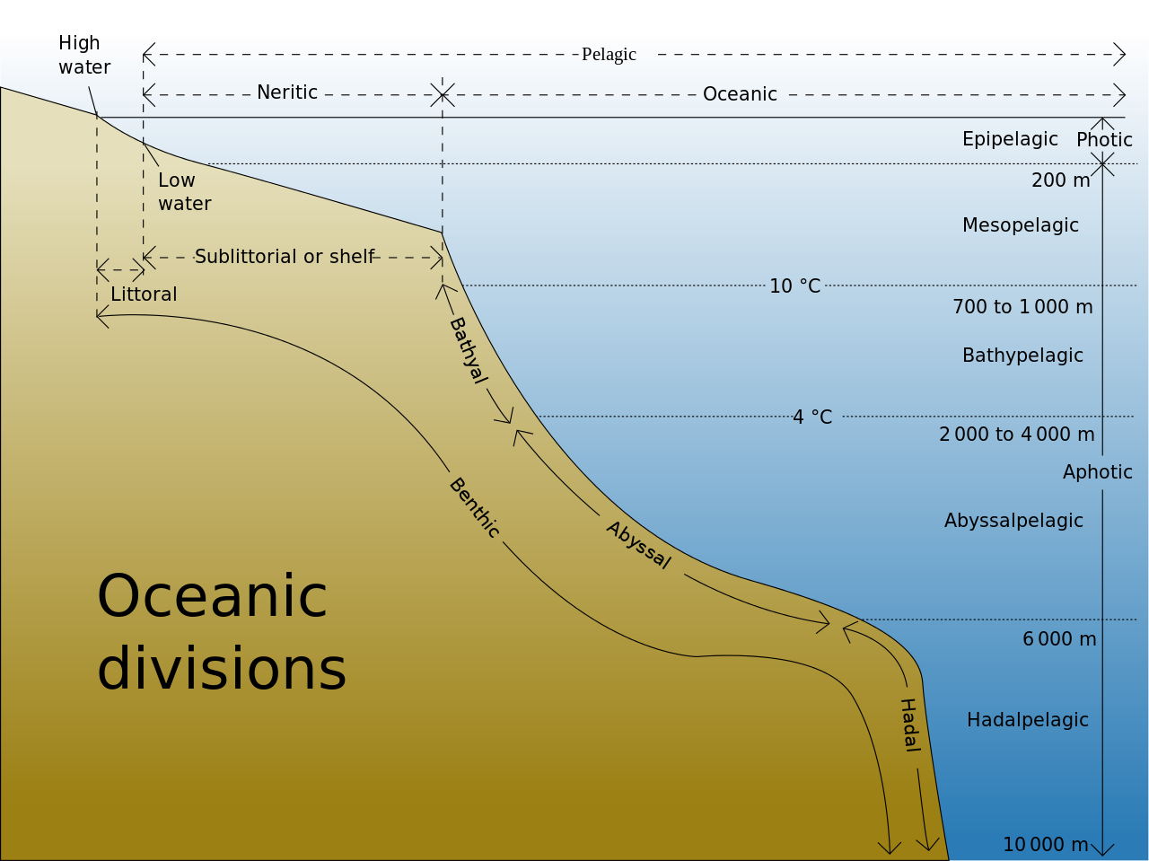 Diagram of the ocean and seafloor showing different depths and names for specific ranges of environments.
