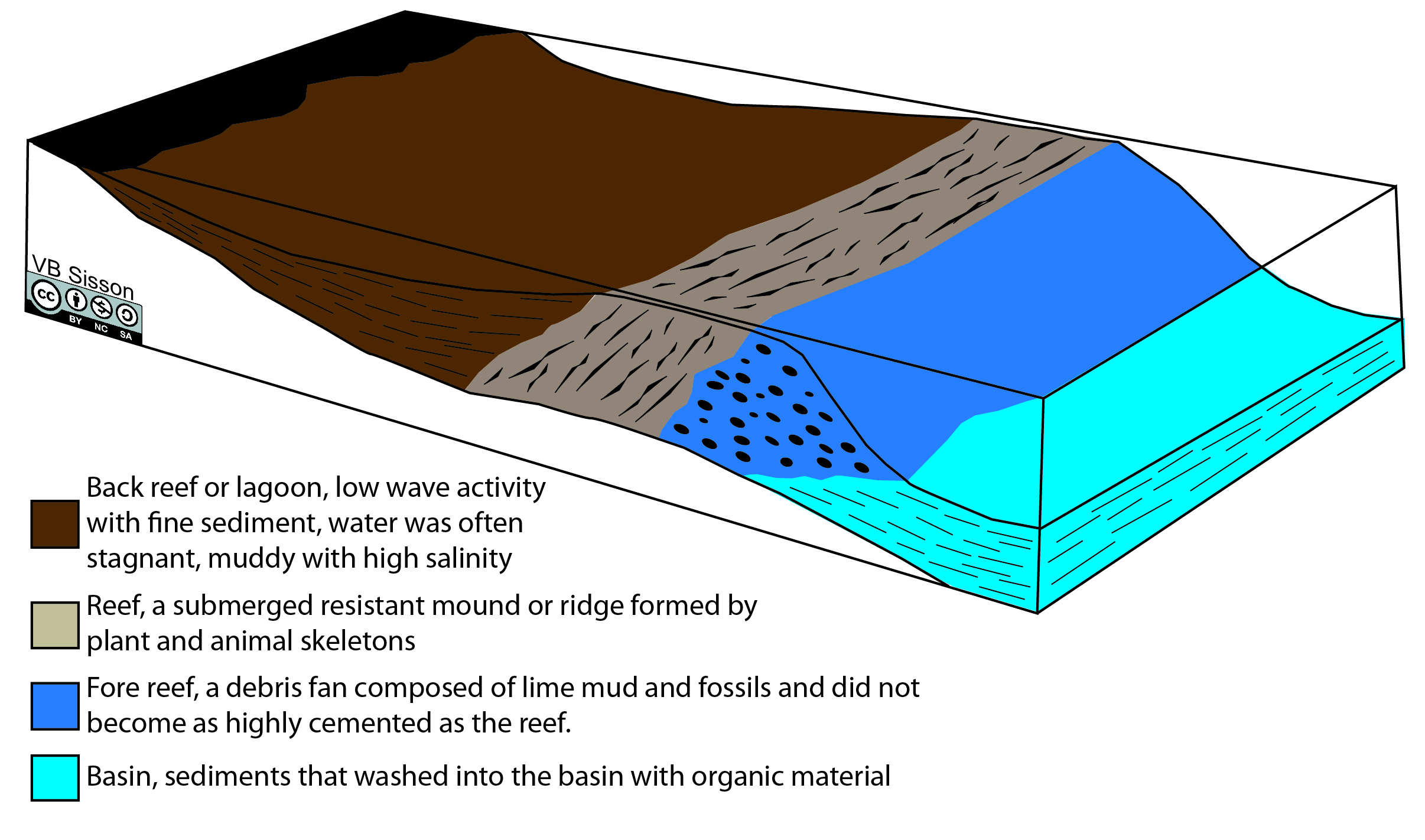 Structure of Devonian reef