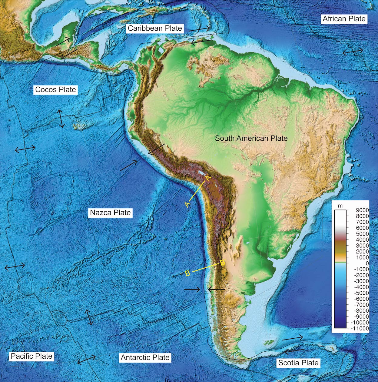 Plate tectonic map of South America and adjacent plates