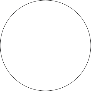 Blank circle for making a pie chart