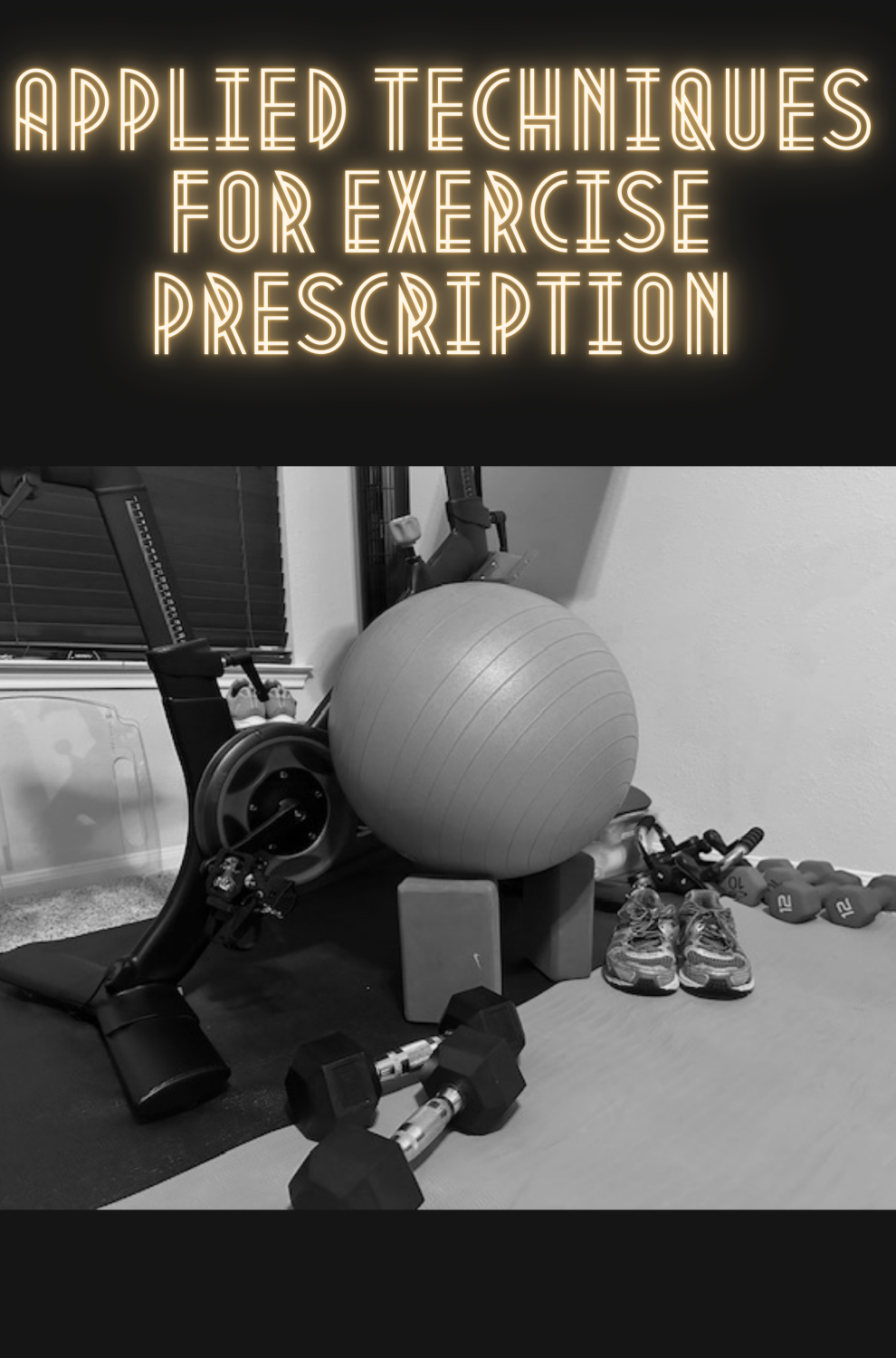 Cover image for Applied techniques for exercise prescription