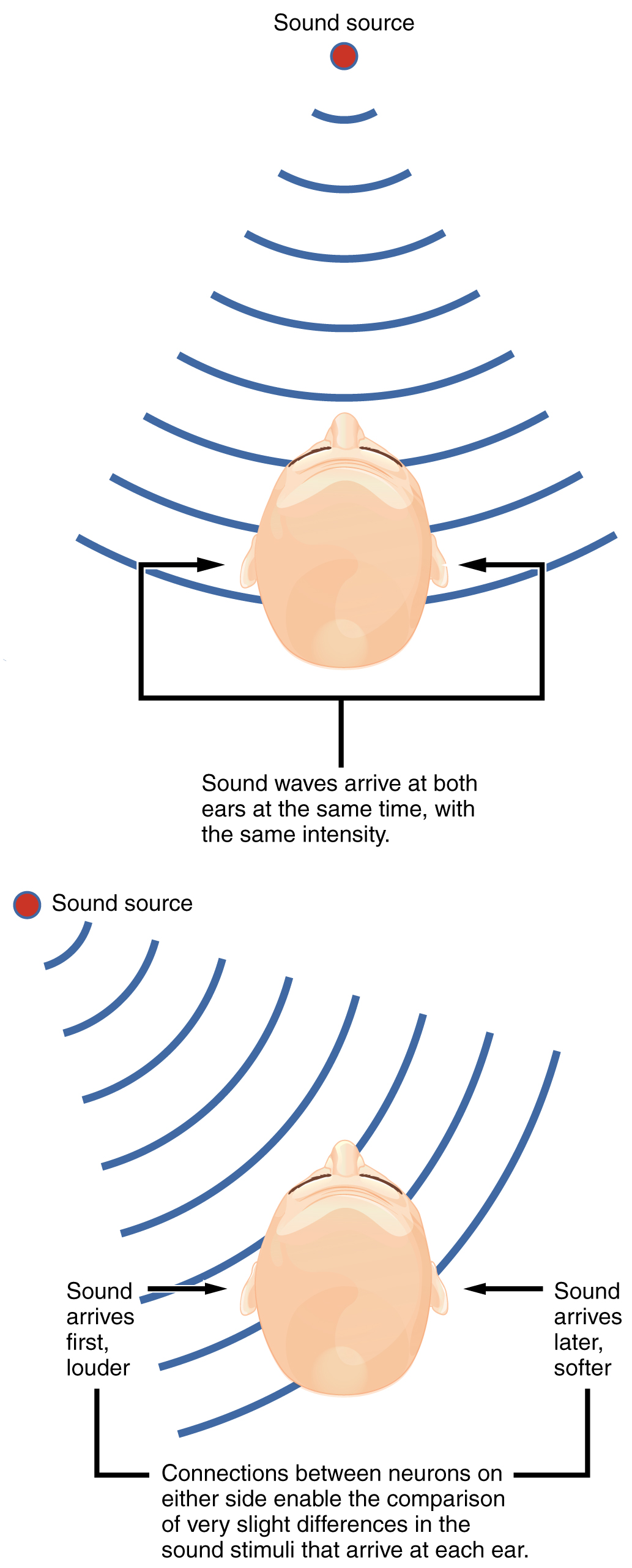 The top panel shows a person hearing a sound source that arrives in both his ears at the same time with the same intensity. The bottom panel shows a sound source that is not centered and arrives at different times with different intensities in each ear.